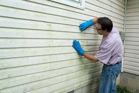 Best Wood Siding Installation  in Hlsboro, IL